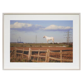 Mark Wallinger The White Horse, 2007/2024 framed